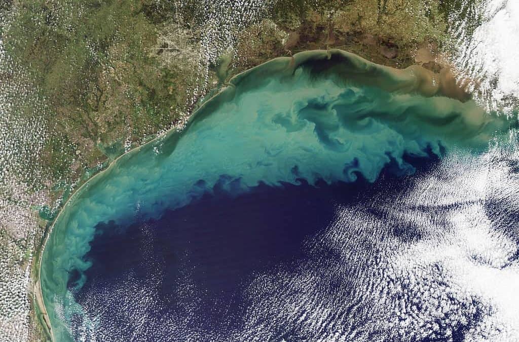 Gulf of Mexico Dead Zone Largest in over 30 Years | Calcasieu Parish News