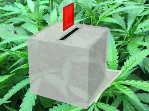 Should Marijuana Be Legal for Recreational Use in Louisiana?