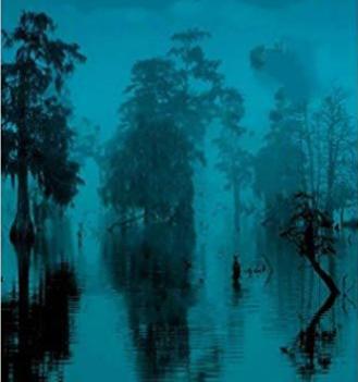 Murder in the Bayou featured image