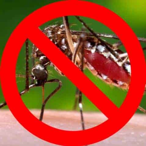 Calcasieu Parish Mosquito Control