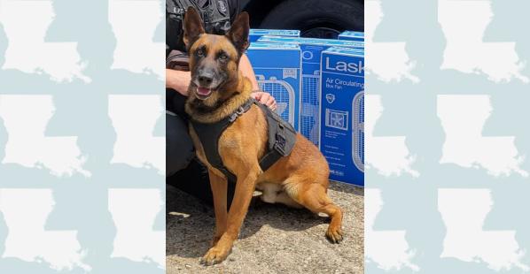 Shreveport Police K-9 Diesel