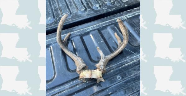 Louisiana Firearms and Hunting Violations, October 26, 2022