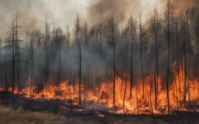 Louisiana Wildfires Update: Rising Danger, Active Crews, and Weather Concerns