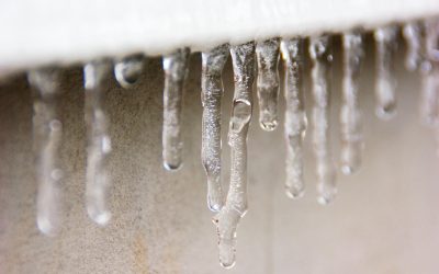 icicles in Louisiana