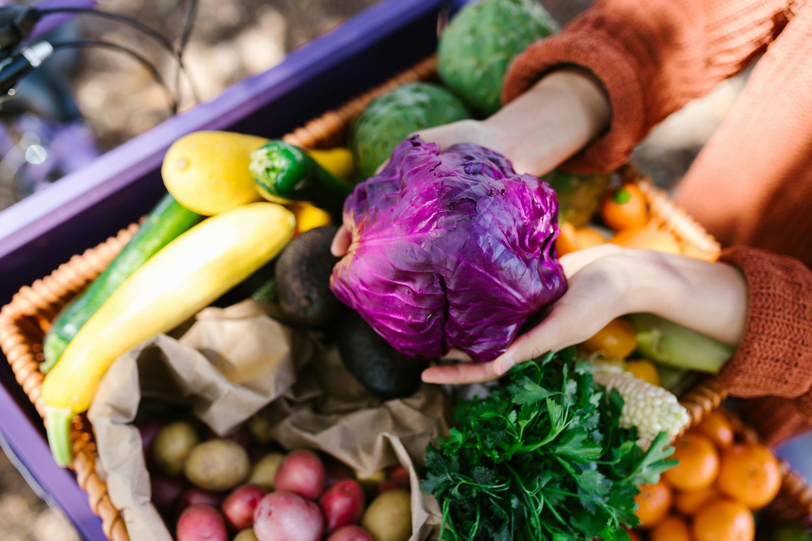 Close-up of hands holding purple cabbage over a basket of fresh vegetables at a market.