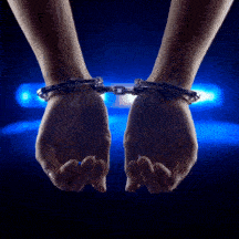 November 11, 2025 Calcasieu Parish Booking Report